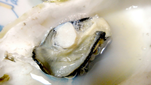 澎湖郭家賜福牡蠣｜團購美食推薦，新鮮大顆又多汁的牡蠣 @猴屁的異想世界