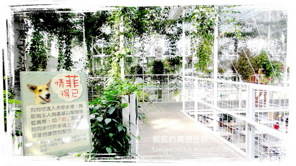 香草菲菲|宜蘭景點推薦!花是愛偶像劇取景地,芳香植物博物館好拍又好逛 @猴屁的異想世界 香草菲菲|宜蘭景點推薦!花是愛偶像劇取景地,芳香植物博物館好拍又好逛 @猴屁的異想世界