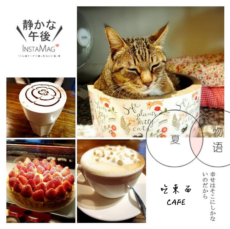 【台中美食】吃東西cafe！文青的最愛老宅改造咖啡廳！有可愛貓咪、有WIFI！ @猴屁的異想世界