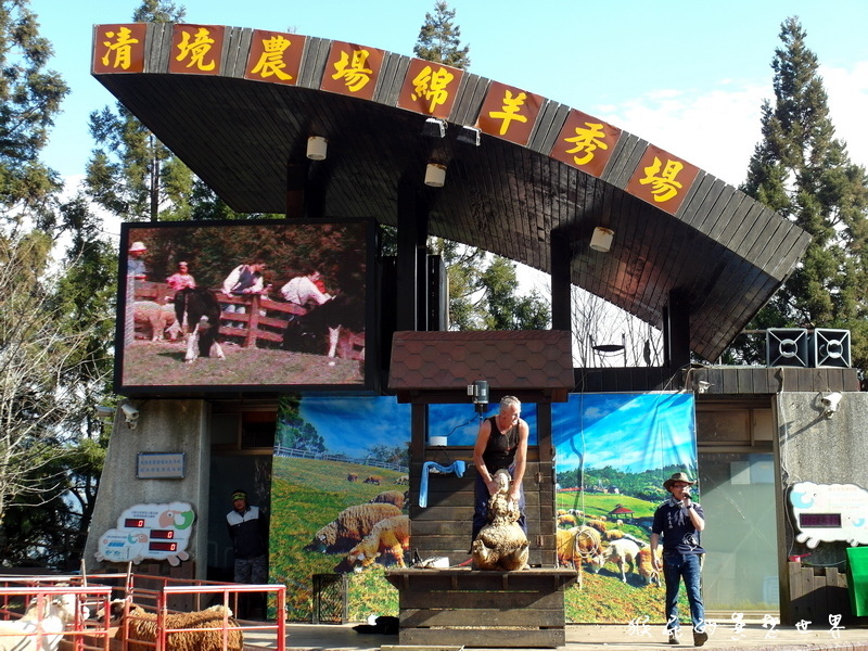 統聯愛旅遊|南投2天1夜清境農場自由行超值套裝行程,國民賓館一泊二食、青青草原、小瑞士花園、合歡山 @猴屁的異想世界 統聯愛旅遊|南投2天1夜清境農場自由行超值套裝行程,國民賓館一泊二食、青青草原、小瑞士花園、合歡山 @猴屁的異想世界