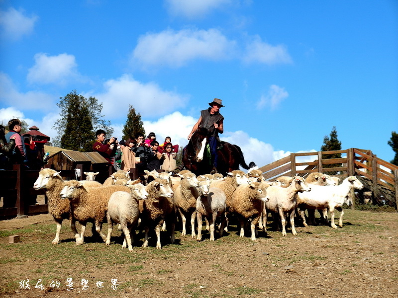 統聯愛旅遊|南投2天1夜清境農場自由行超值套裝行程,國民賓館一泊二食、青青草原、小瑞士花園、合歡山 @猴屁的異想世界 統聯愛旅遊|南投2天1夜清境農場自由行超值套裝行程,國民賓館一泊二食、青青草原、小瑞士花園、合歡山 @猴屁的異想世界