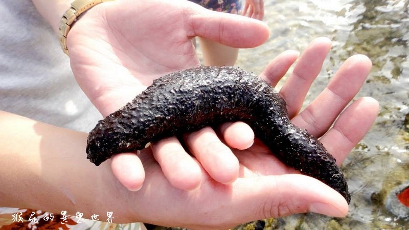 月掬生態旅遊民宿|食尚玩家推薦CP值超高小琉球民宿,2天1夜套裝行程分享 @猴屁的異想世界 月掬生態旅遊民宿|食尚玩家推薦CP值超高小琉球民宿,2天1夜套裝行程分享 @猴屁的異想世界