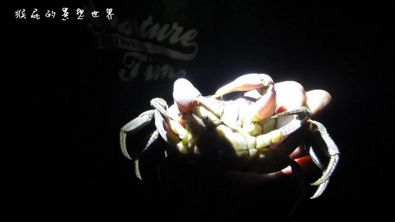 月掬生態旅遊民宿|食尚玩家推薦CP值超高小琉球民宿,2天1夜套裝行程分享 @猴屁的異想世界 月掬生態旅遊民宿|食尚玩家推薦CP值超高小琉球民宿,2天1夜套裝行程分享 @猴屁的異想世界