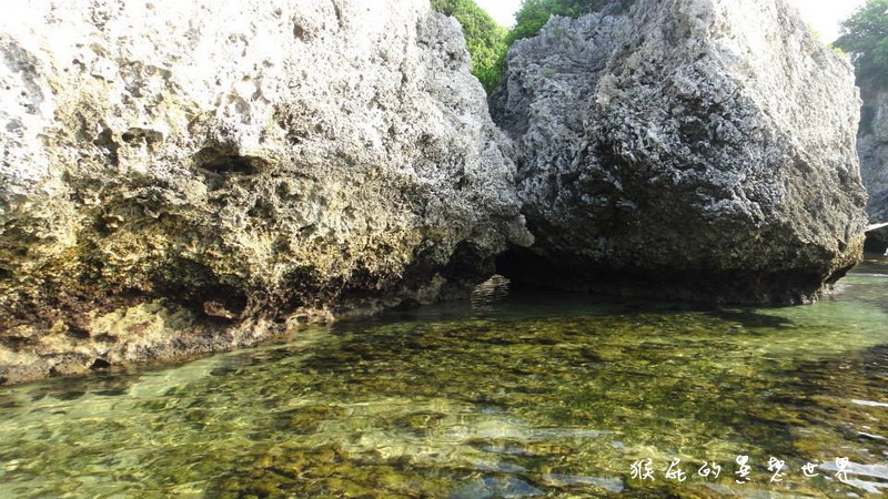 月掬生態旅遊民宿|食尚玩家推薦CP值超高小琉球民宿,2天1夜套裝行程分享 @猴屁的異想世界 月掬生態旅遊民宿|食尚玩家推薦CP值超高小琉球民宿,2天1夜套裝行程分享 @猴屁的異想世界