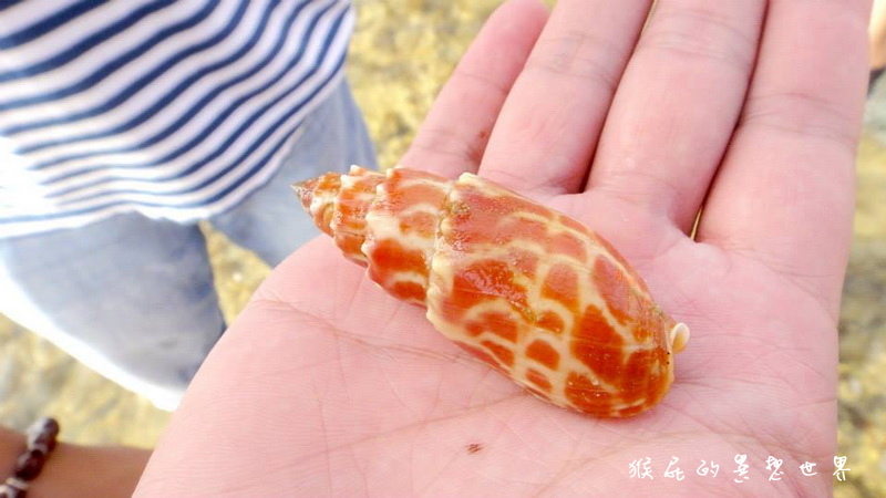 月掬生態旅遊民宿|食尚玩家推薦CP值超高小琉球民宿,2天1夜套裝行程分享 @猴屁的異想世界 月掬生態旅遊民宿|食尚玩家推薦CP值超高小琉球民宿,2天1夜套裝行程分享 @猴屁的異想世界
