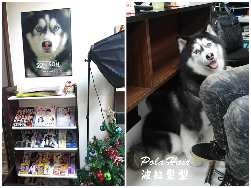 波拉髮型設計|台中染髮推薦,隱藏在精明一街巷弄中的美髮店,焦糖栗子棕挑染紫羅蘭好美 @猴屁的異想世界 波拉髮型設計|台中染髮推薦,隱藏在精明一街巷弄中的美髮店,焦糖栗子棕挑染紫羅蘭好美 @猴屁的異想世界