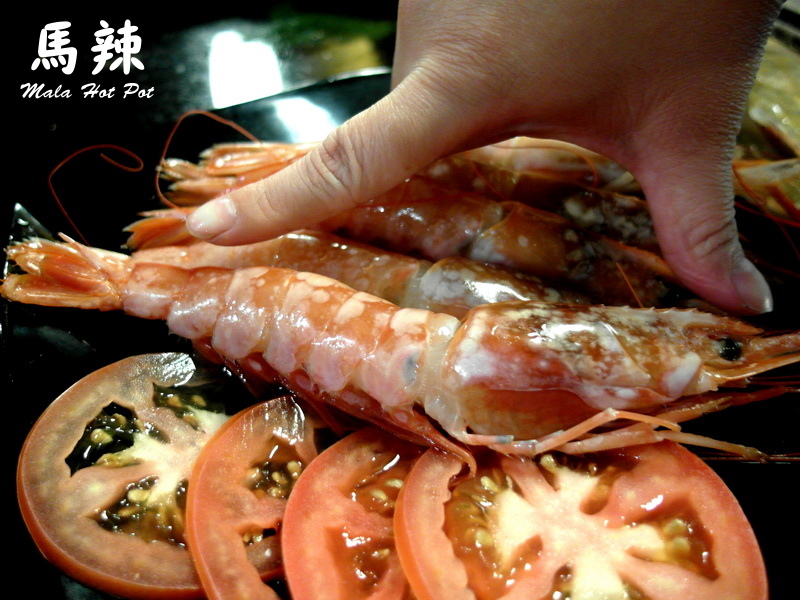 馬辣頂級麻辣鴛鴦火鍋漢口店|台北麻辣鍋吃到飽,天使紅蝦、和牛吃到飽,食材再升級 @猴屁的異想世界 馬辣頂級麻辣鴛鴦火鍋漢口店|台北麻辣鍋吃到飽,天使紅蝦、和牛吃到飽,食材再升級 @猴屁的異想世界