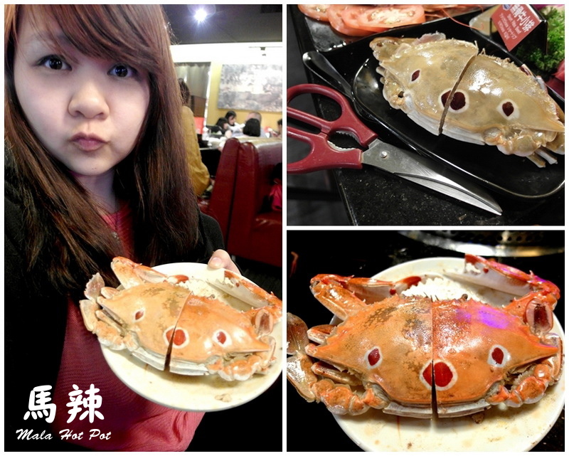馬辣頂級麻辣鴛鴦火鍋漢口店|台北麻辣鍋吃到飽,天使紅蝦、和牛吃到飽,食材再升級 @猴屁的異想世界 馬辣頂級麻辣鴛鴦火鍋漢口店|台北麻辣鍋吃到飽,天使紅蝦、和牛吃到飽,食材再升級 @猴屁的異想世界