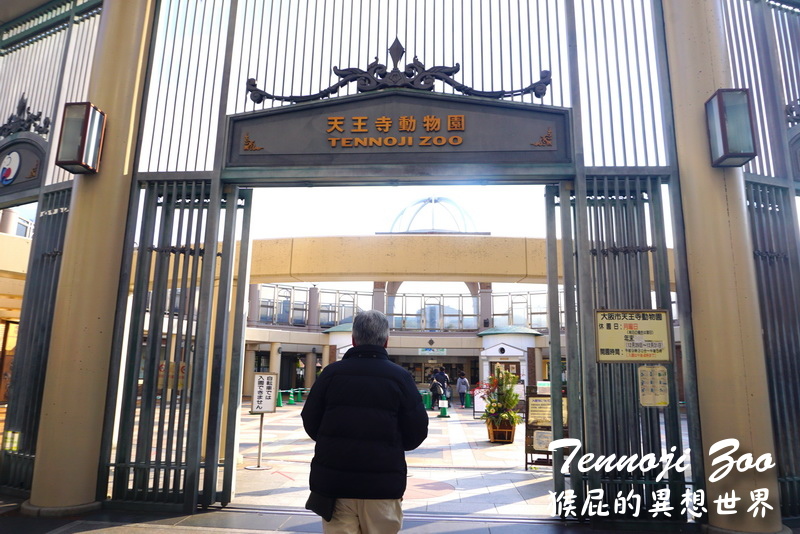 天王寺動物園|大阪必訪親子景點,大阪周遊卡免費入園,近通天閣步行5分鐘!動物萌樣超療癒 @猴屁的異想世界 天王寺動物園|大阪必訪親子景點,大阪周遊卡免費入園,近通天閣步行5分鐘!動物萌樣超療癒 @猴屁的異想世界