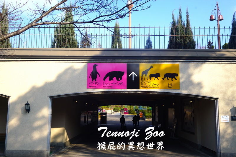 天王寺動物園|大阪必訪親子景點,大阪周遊卡免費入園,近通天閣步行5分鐘!動物萌樣超療癒 @猴屁的異想世界 天王寺動物園|大阪必訪親子景點,大阪周遊卡免費入園,近通天閣步行5分鐘!動物萌樣超療癒 @猴屁的異想世界