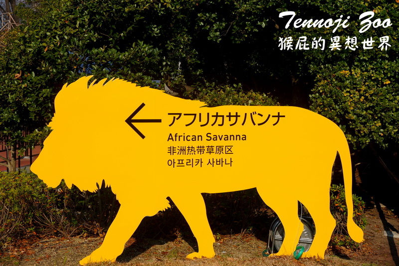 天王寺動物園|大阪必訪親子景點,大阪周遊卡免費入園,近通天閣步行5分鐘!動物萌樣超療癒 @猴屁的異想世界 天王寺動物園|大阪必訪親子景點,大阪周遊卡免費入園,近通天閣步行5分鐘!動物萌樣超療癒 @猴屁的異想世界