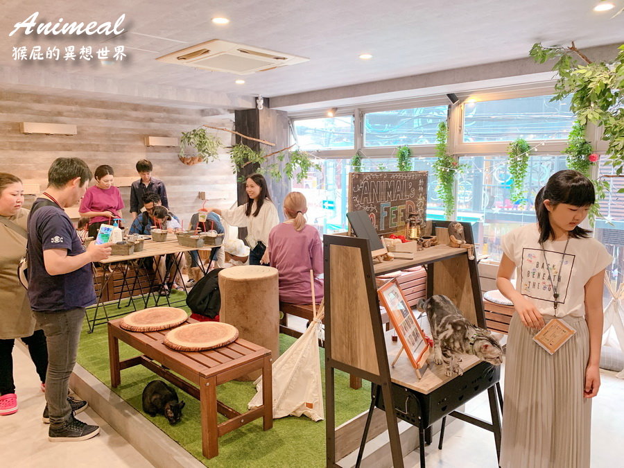Animeal｜日本大阪超療癒水豚君咖啡廳，可以跟動物互動的咖啡廳，大阪超可愛迷你動物園咖啡廳 @猴屁的異想世界
