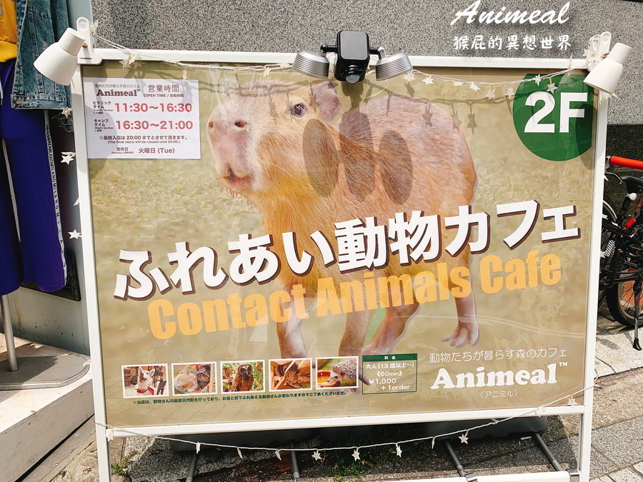 【日本大阪咖啡廳】超療癒大阪水豚君咖啡廳Animeal，可以跟動物互動的咖啡廳！大阪超可愛迷你動物園咖啡廳！ @猴屁的異想世界
