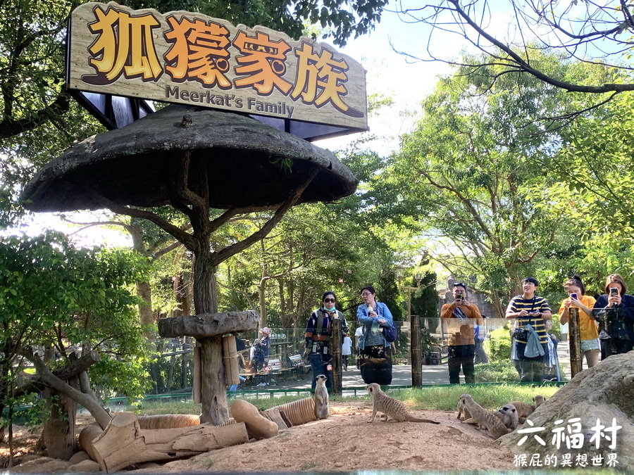 【新竹景點】六福村主題樂園！台灣最具規模的開放式野生動物園！六福村夜間遊行超精彩！萬聖節期間限定活動！ @猴屁的異想世界