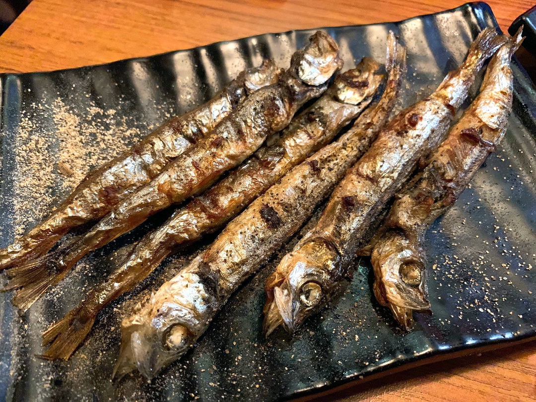 柒息地串燒居酒屋長安總店｜台北平價居酒屋推薦，生猛海鮮升級、現烤串燒近捷運善導寺站 @猴屁的異想世界