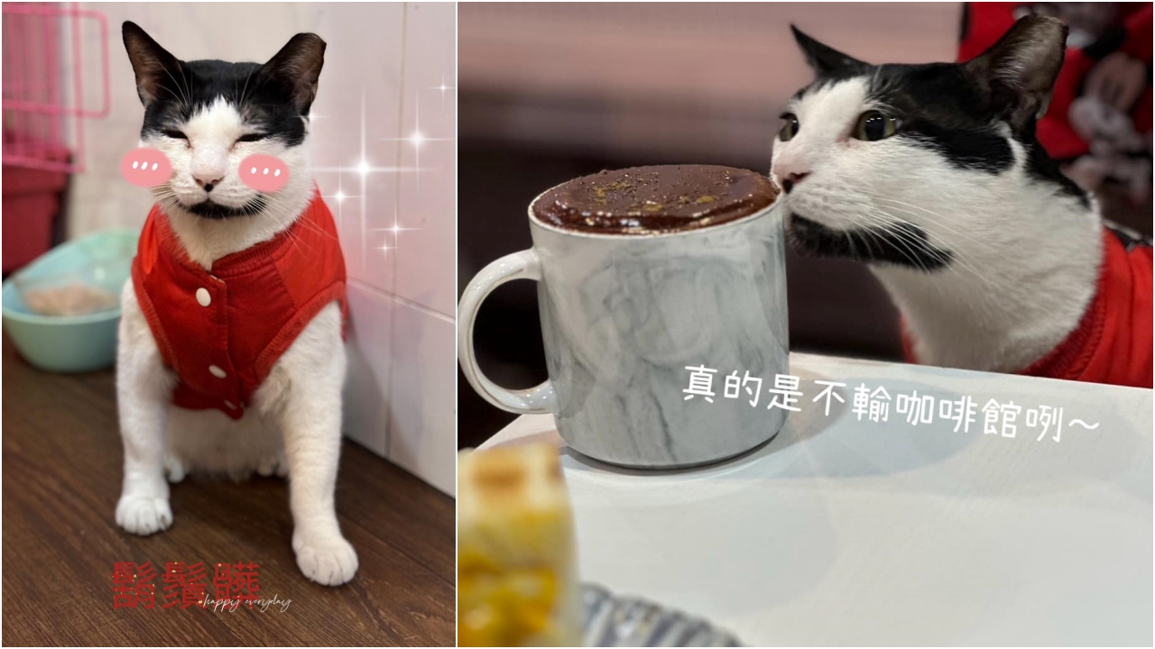 餓店蒸氣吐司|三重最好吃早午餐一周只賣3天,失控雙倍起司肉蛋太邪惡 @猴屁的異想世界 餓店蒸氣吐司|三重最好吃早午餐一周只賣3天,失控雙倍起司肉蛋太邪惡 @猴屁的異想世界