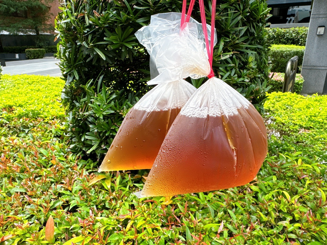 【森記快餐店】逢甲老字號便當店,限量招牌玫瑰油雞飯12點前就賣光,炸雞排好吃 @猴屁的異想世界 【森記快餐店】逢甲老字號便當店,限量招牌玫瑰油雞飯12點前就賣光,炸雞排好吃 @猴屁的異想世界