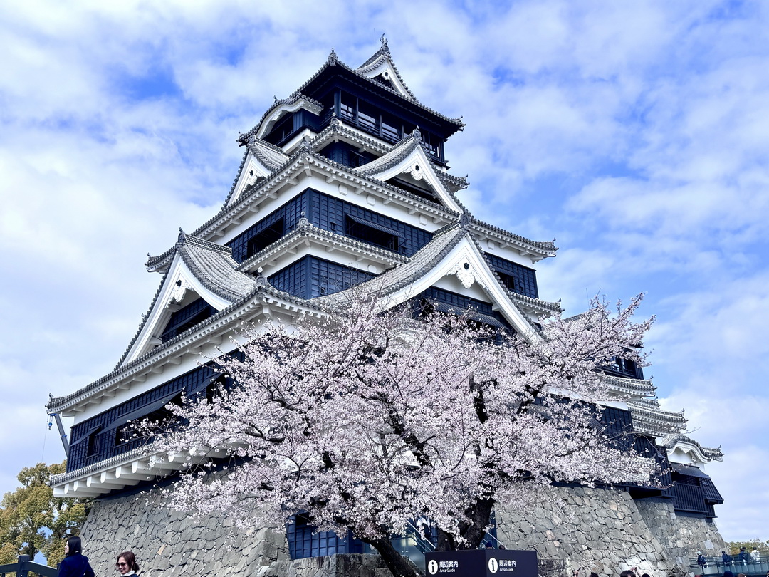 熊本一日遊|麗星郵輪熊本岸上觀光,熊本城、城彩苑美食、出水神社一次滿足 @猴屁的異想世界 熊本一日遊|麗星郵輪熊本岸上觀光,熊本城、城彩苑美食、出水神社一次滿足 @猴屁的異想世界