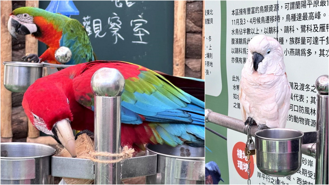 蘭陽動植物王國|宜蘭親子景點推薦!近距離餵草泥馬、摸水豚、看樹懶,超萌動物互動樂園 @猴屁的異想世界 蘭陽動植物王國|宜蘭親子景點推薦!近距離餵草泥馬、摸水豚、看樹懶,超萌動物互動樂園 @猴屁的異想世界