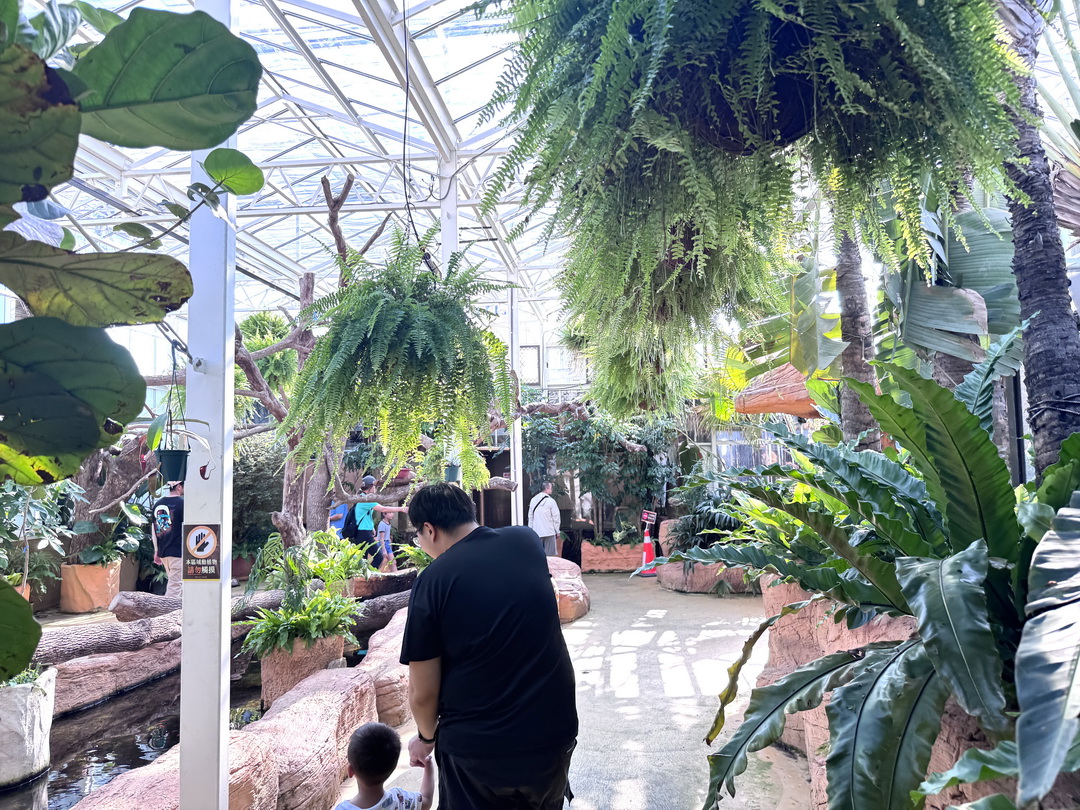 蘭陽動植物王國|宜蘭親子景點推薦!近距離餵草泥馬、摸水豚、看樹懶,超萌動物互動樂園 @猴屁的異想世界 蘭陽動植物王國|宜蘭親子景點推薦!近距離餵草泥馬、摸水豚、看樹懶,超萌動物互動樂園 @猴屁的異想世界