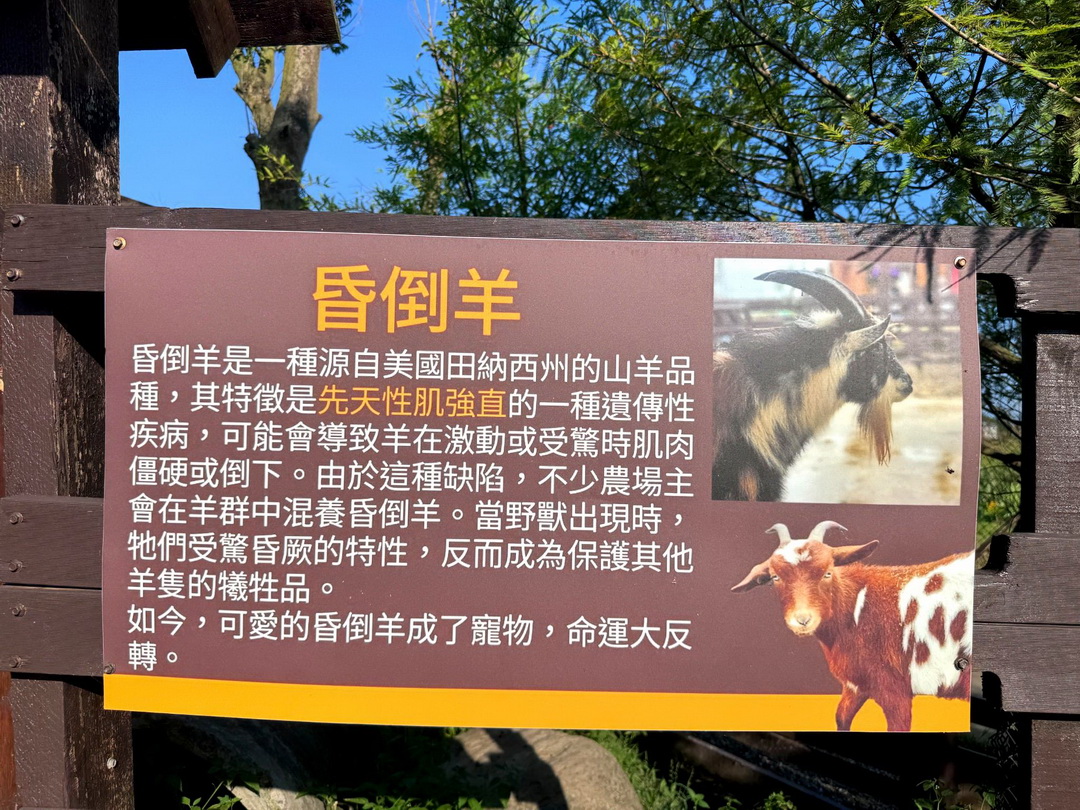 蘭陽動植物王國|宜蘭親子景點推薦!近距離餵草泥馬、摸水豚、看樹懶,超萌動物互動樂園 @猴屁的異想世界 蘭陽動植物王國|宜蘭親子景點推薦!近距離餵草泥馬、摸水豚、看樹懶,超萌動物互動樂園 @猴屁的異想世界