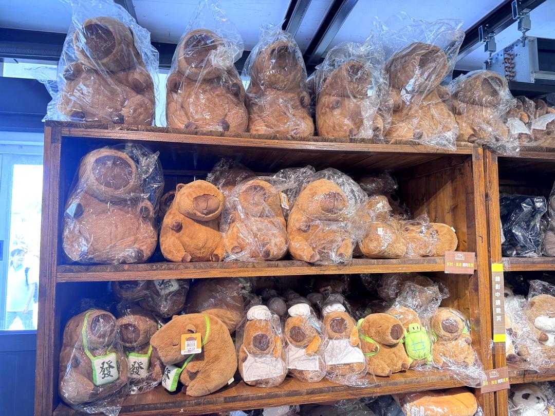 蘭陽動植物王國|宜蘭親子景點推薦!近距離餵草泥馬、摸水豚、看樹懶,超萌動物互動樂園 @猴屁的異想世界 蘭陽動植物王國|宜蘭親子景點推薦!近距離餵草泥馬、摸水豚、看樹懶,超萌動物互動樂園 @猴屁的異想世界