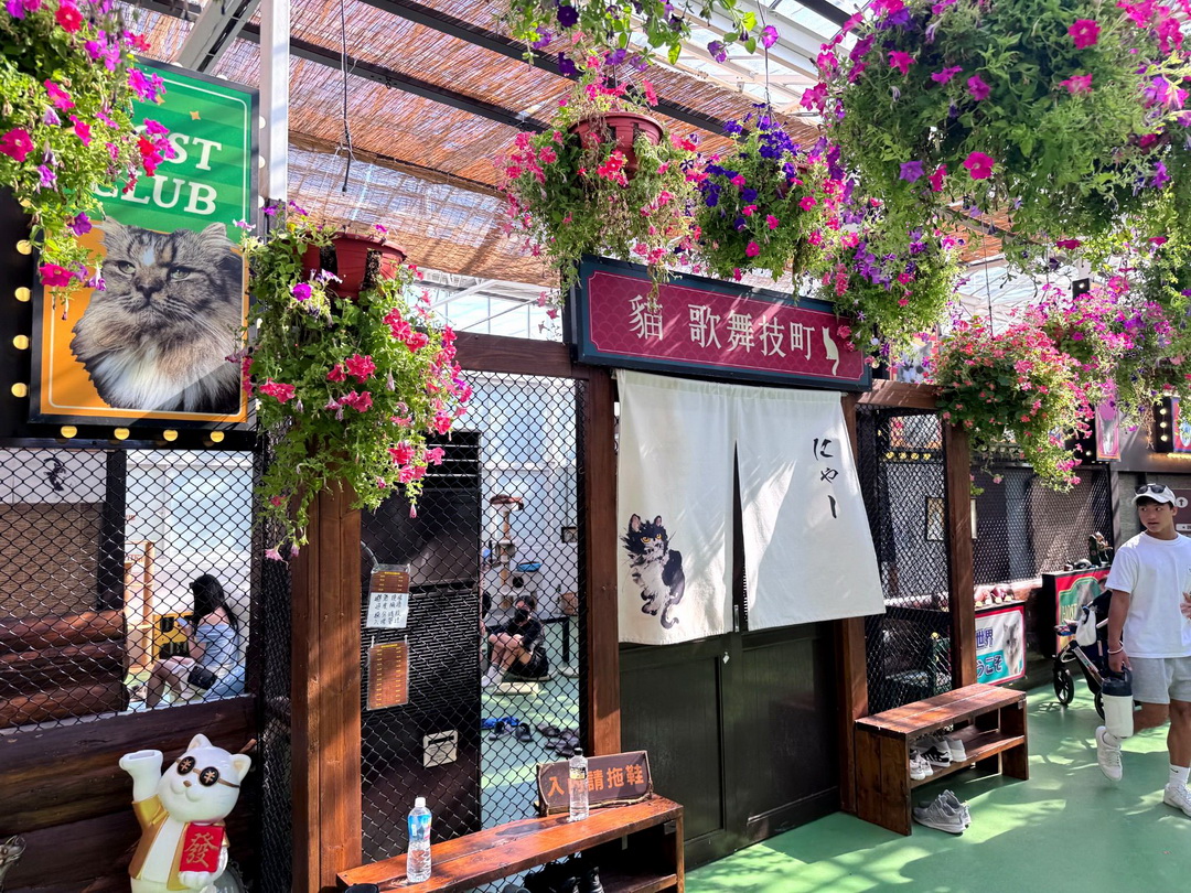 蘭陽動植物王國|宜蘭親子景點推薦!近距離餵草泥馬、摸水豚、看樹懶,超萌動物互動樂園 @猴屁的異想世界 蘭陽動植物王國|宜蘭親子景點推薦!近距離餵草泥馬、摸水豚、看樹懶,超萌動物互動樂園 @猴屁的異想世界