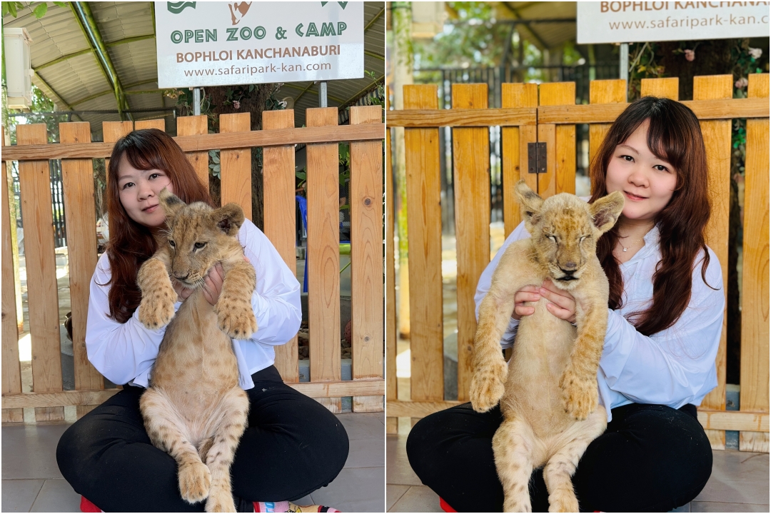 泰國北碧府一日遊｜野生動物園餵長頸鹿、看大象鱷魚表演，死亡鐵路＆桂河大橋拍照 @猴屁的異想世界