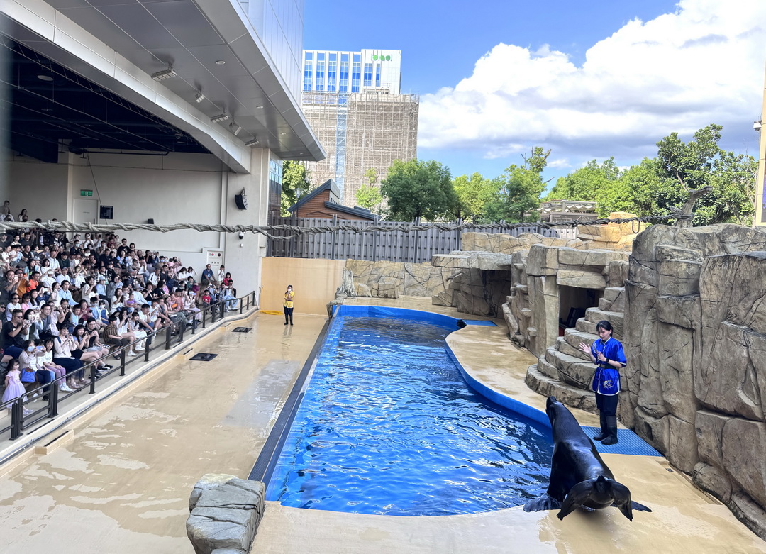 Xpark水族館|桃園必訪水族館,企鵝奇遇、戶外園區、表演時間全攻略 @猴屁的異想世界 Xpark水族館|桃園必訪水族館,企鵝奇遇、戶外園區、表演時間全攻略 @猴屁的異想世界