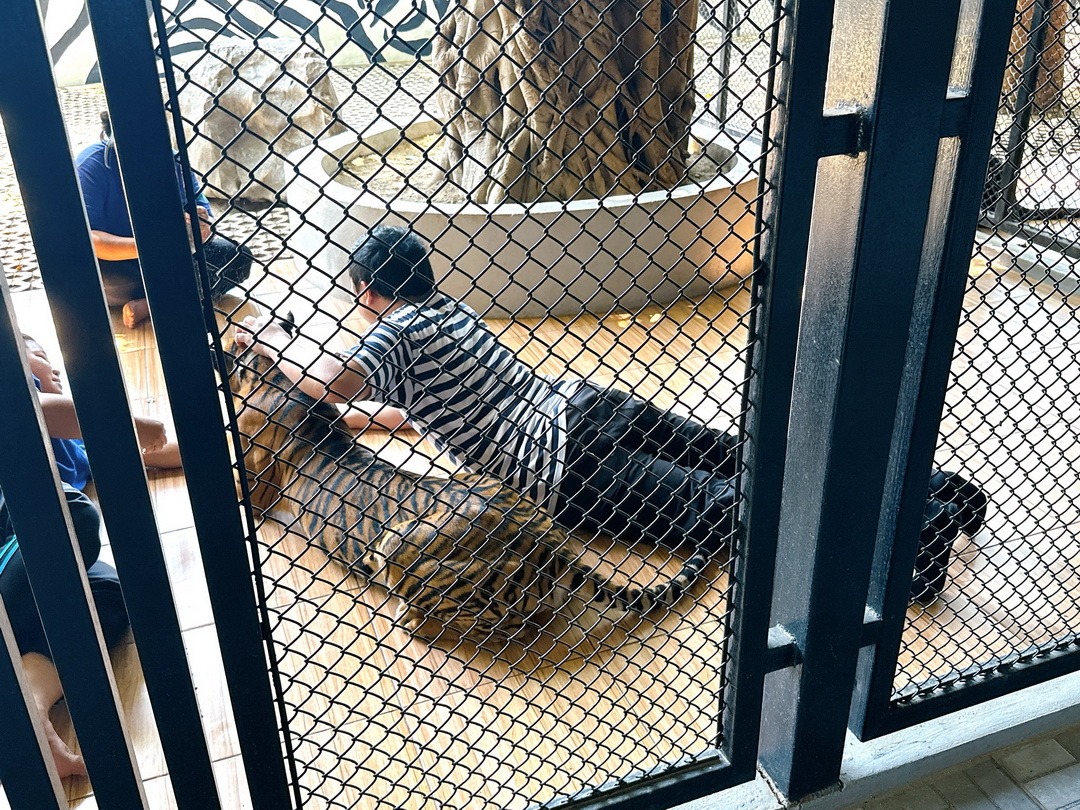 泰國北碧府一日遊｜野生動物園餵長頸鹿、看大象鱷魚表演，死亡鐵路＆桂河大橋拍照 @猴屁的異想世界