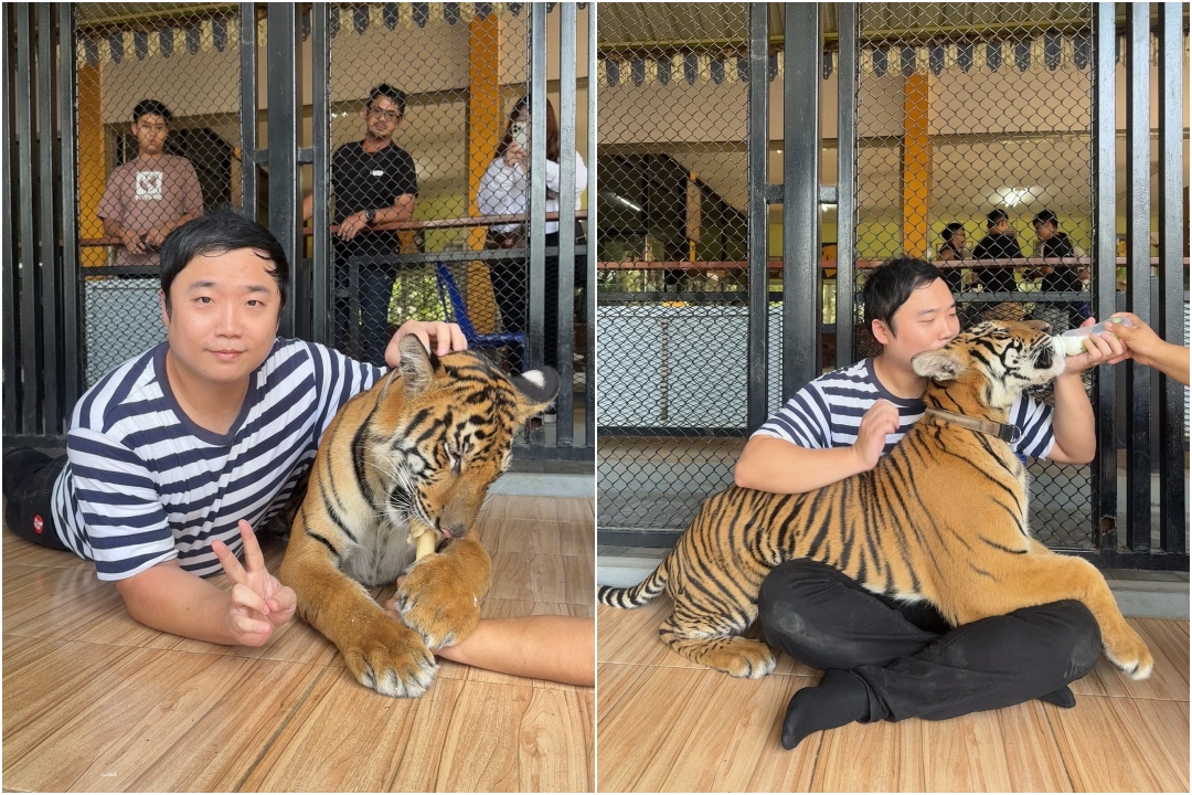 泰國北碧府一日遊｜野生動物園餵長頸鹿、看大象鱷魚表演，死亡鐵路＆桂河大橋拍照 @猴屁的異想世界