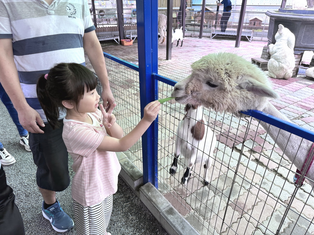 嘎逼&牛奶互動園區|高雄親子景點推薦,水豚、草泥馬、狐蒙、貓狗互動超療癒 @猴屁的異想世界 嘎逼&牛奶互動園區|高雄親子景點推薦,水豚、草泥馬、狐蒙、貓狗互動超療癒 @猴屁的異想世界