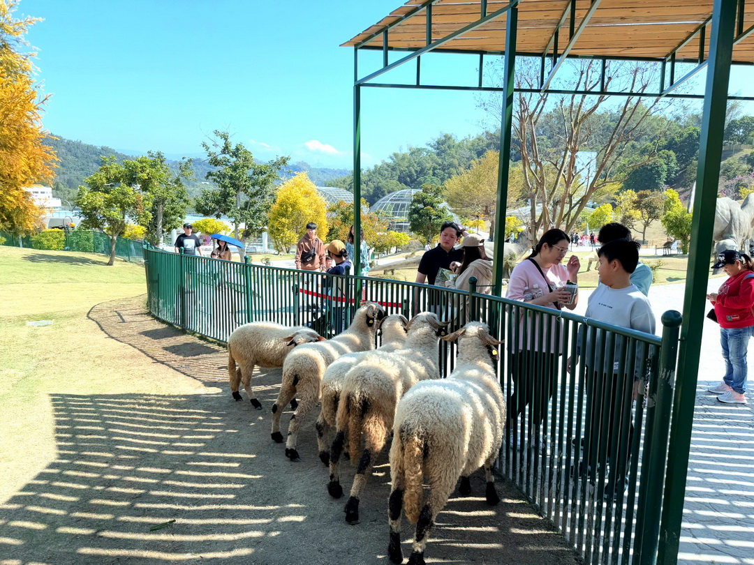 九九峰動物樂園|南投親子景點推薦!笑笑羊、鸚鵡近距離互動,還有恐龍園區、美食街超豐富 @猴屁的異想世界 九九峰動物樂園|南投親子景點推薦!笑笑羊、鸚鵡近距離互動,還有恐龍園區、美食街超豐富 @猴屁的異想世界