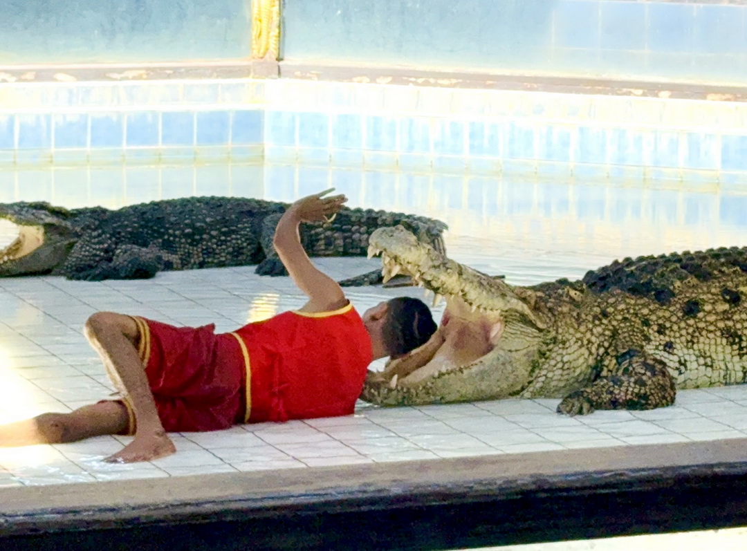 泰國北碧府一日遊｜野生動物園餵長頸鹿、看大象鱷魚表演，死亡鐵路＆桂河大橋拍照 @猴屁的異想世界