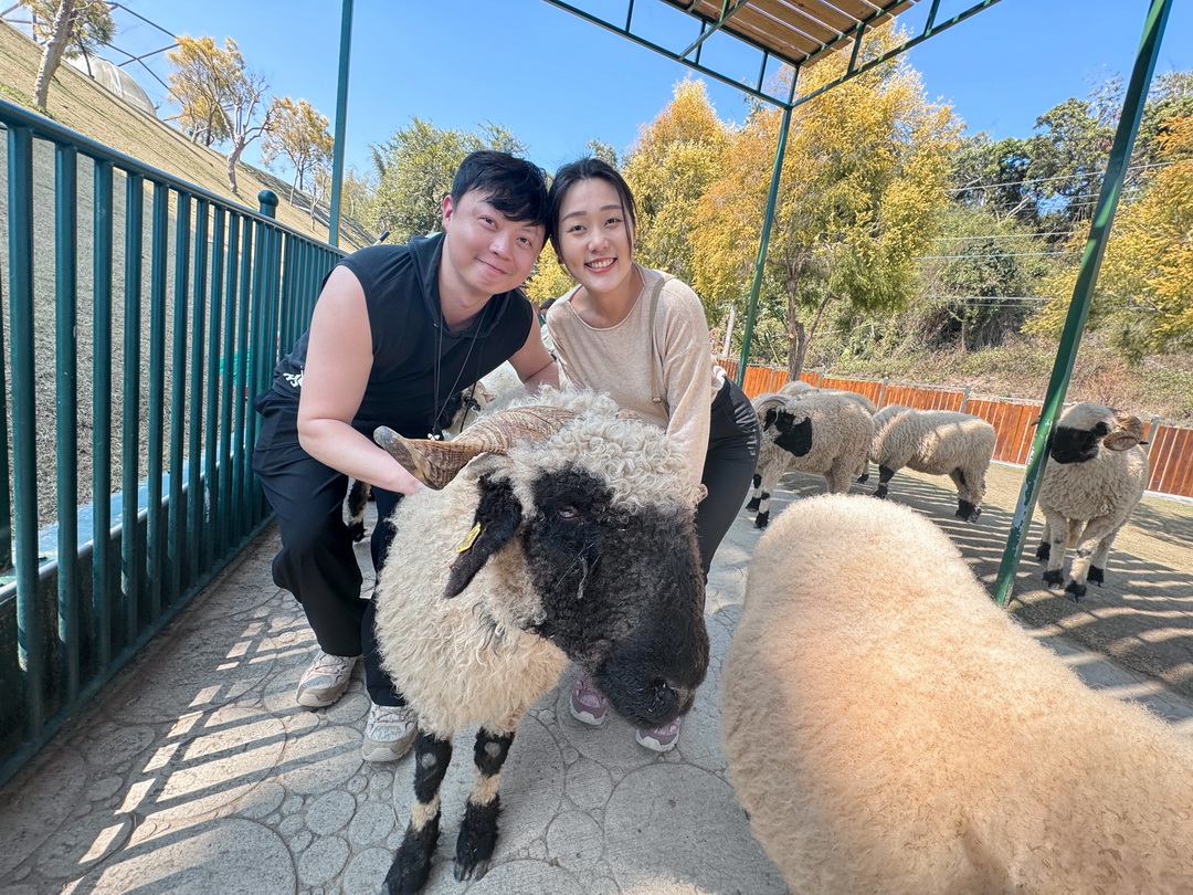 九九峰動物樂園|南投親子景點推薦!笑笑羊、鸚鵡近距離互動,還有恐龍園區、美食街超豐富 @猴屁的異想世界 九九峰動物樂園|南投親子景點推薦!笑笑羊、鸚鵡近距離互動,還有恐龍園區、美食街超豐富 @猴屁的異想世界