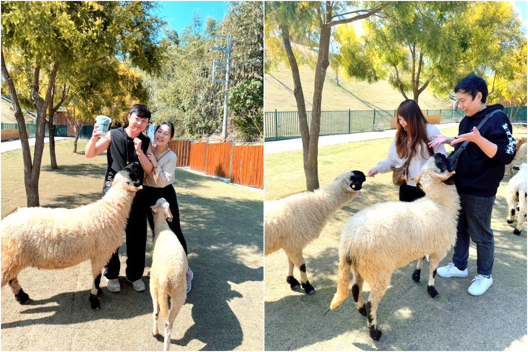 九九峰動物樂園|南投親子景點推薦!笑笑羊、鸚鵡近距離互動,還有恐龍園區、美食街超豐富 @猴屁的異想世界 九九峰動物樂園|南投親子景點推薦!笑笑羊、鸚鵡近距離互動,還有恐龍園區、美食街超豐富 @猴屁的異想世界