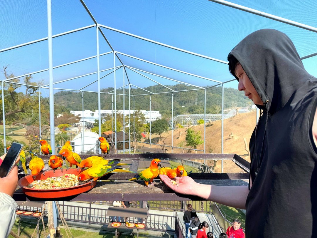 九九峰動物樂園|南投親子景點推薦!笑笑羊、鸚鵡近距離互動,還有恐龍園區、美食街超豐富 @猴屁的異想世界 九九峰動物樂園|南投親子景點推薦!笑笑羊、鸚鵡近距離互動,還有恐龍園區、美食街超豐富 @猴屁的異想世界