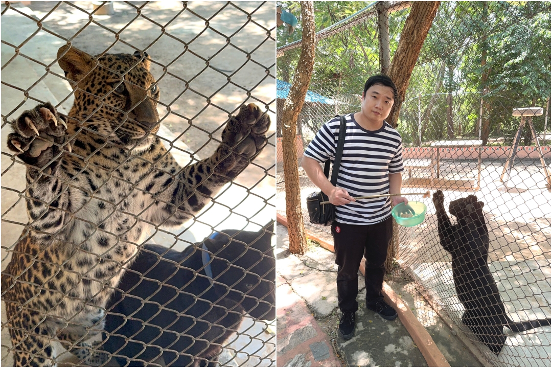 泰國北碧府一日遊｜野生動物園餵長頸鹿、看大象鱷魚表演，死亡鐵路＆桂河大橋拍照 @猴屁的異想世界