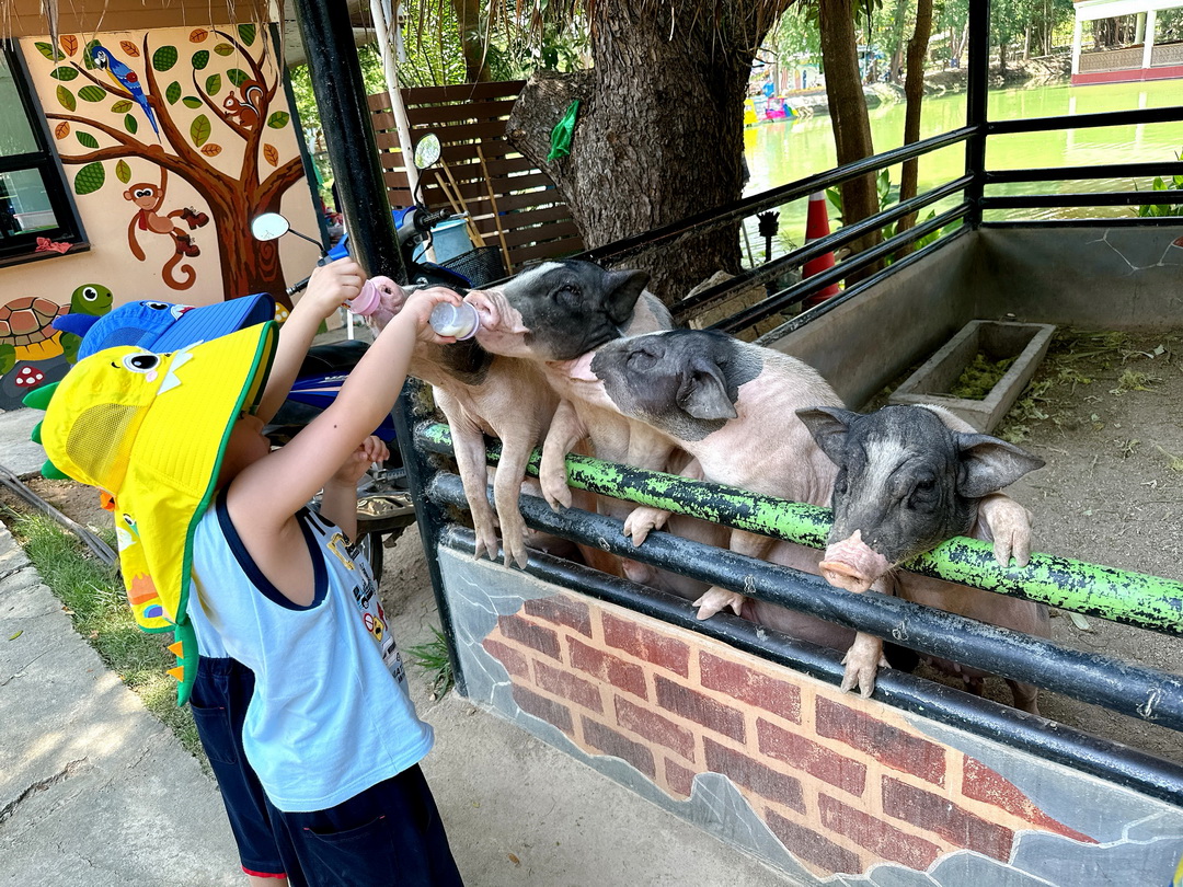 泰國北碧府一日遊｜野生動物園餵長頸鹿、看大象鱷魚表演，死亡鐵路＆桂河大橋拍照 @猴屁的異想世界