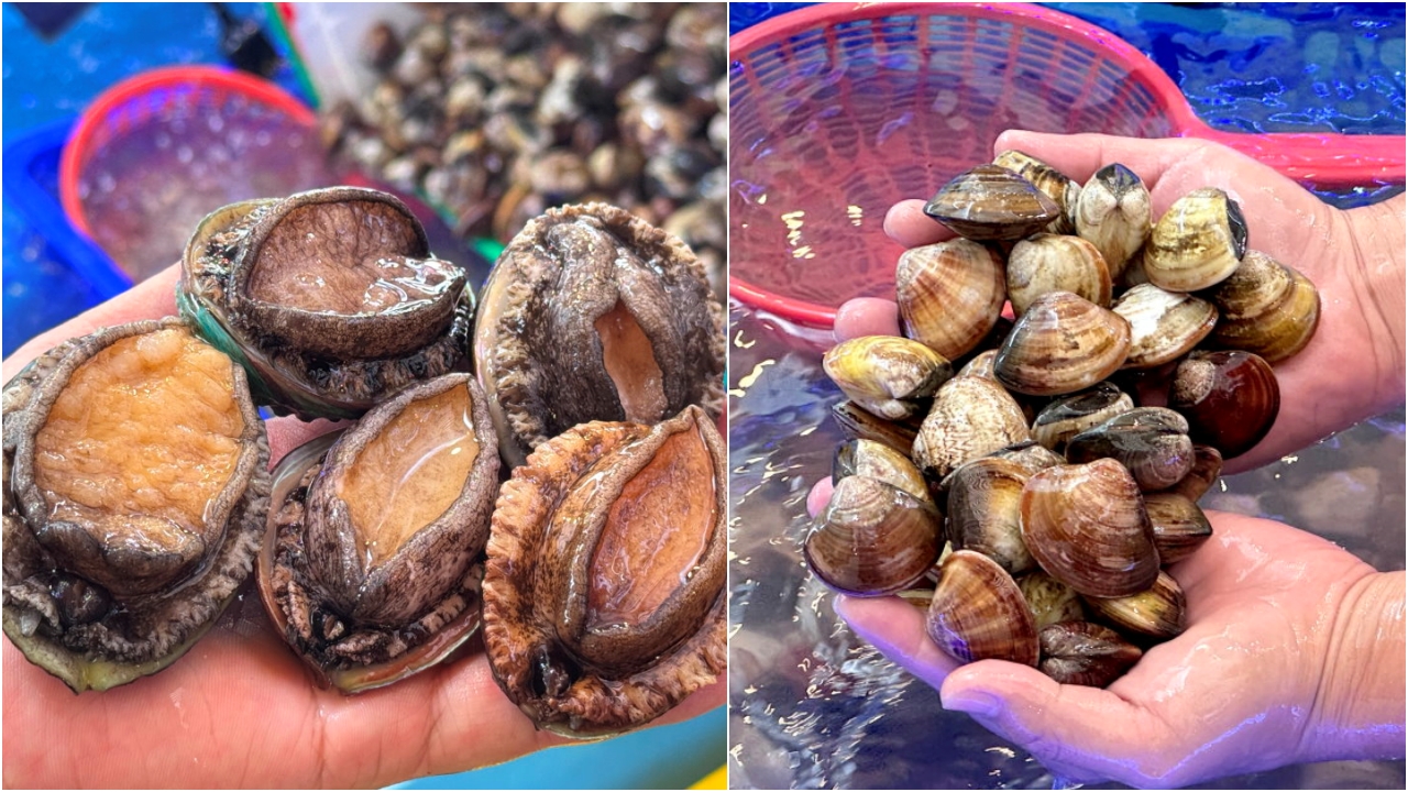 阿布潘水產|台中超狂海鮮市集,現撈龍蝦、生蠔、帝王蟹,中秋烤肉一站買齊! @猴屁的異想世界 阿布潘水產|台中超狂海鮮市集,現撈龍蝦、生蠔、帝王蟹,中秋烤肉一站買齊! @猴屁的異想世界