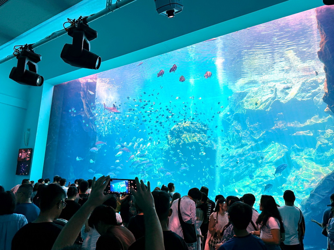 Xpark水族館|桃園必訪水族館,企鵝奇遇、戶外園區、表演時間全攻略 @猴屁的異想世界 Xpark水族館|桃園必訪水族館,企鵝奇遇、戶外園區、表演時間全攻略 @猴屁的異想世界