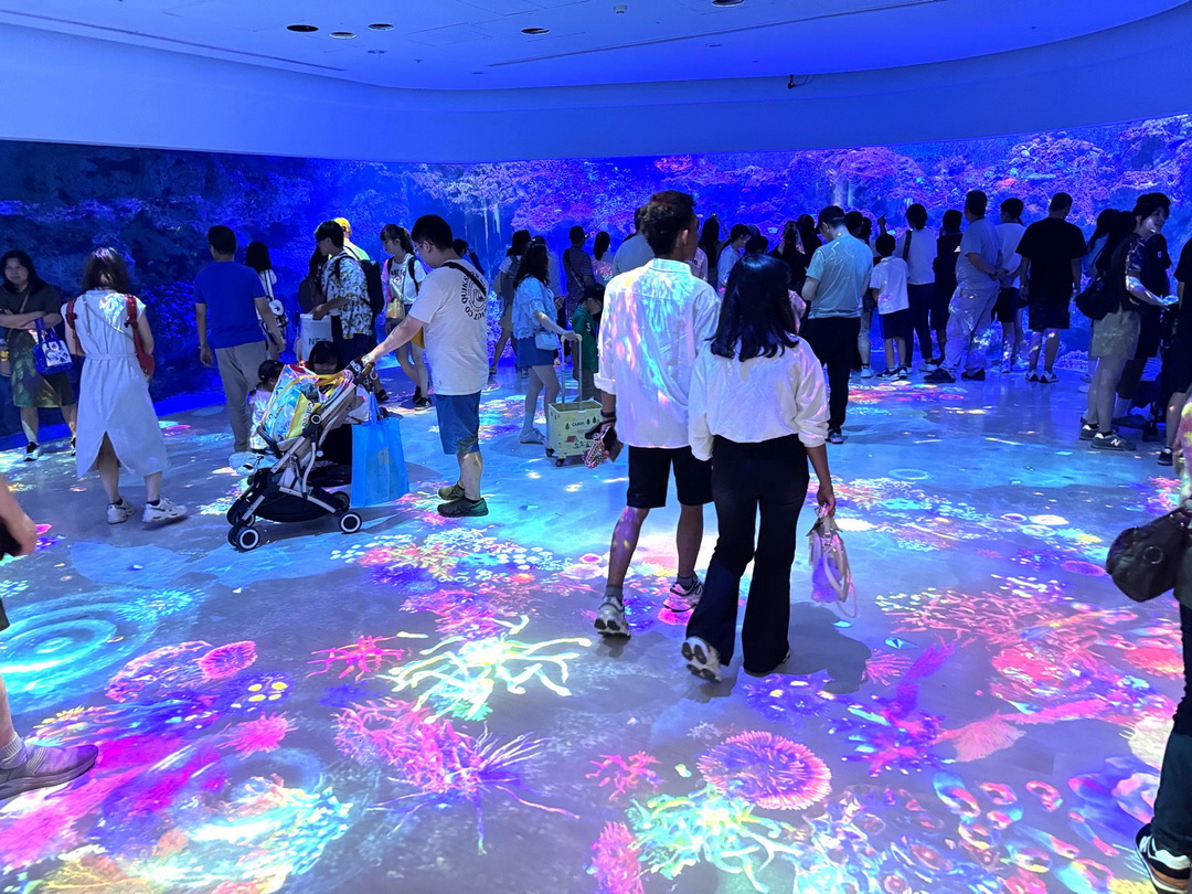Xpark水族館|桃園必訪水族館,企鵝奇遇、戶外園區、表演時間全攻略 @猴屁的異想世界 Xpark水族館|桃園必訪水族館,企鵝奇遇、戶外園區、表演時間全攻略 @猴屁的異想世界