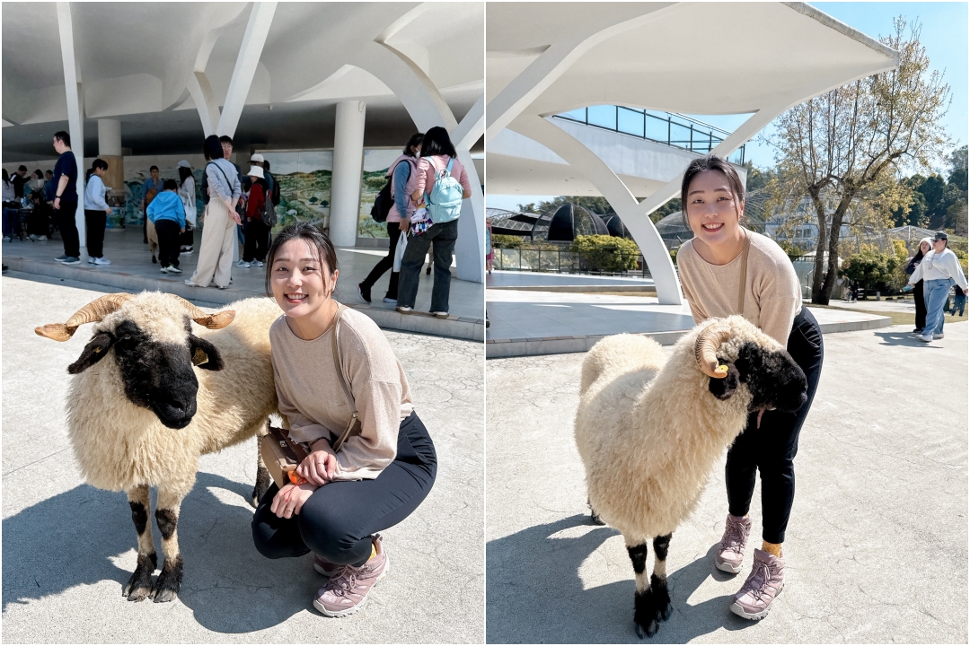 九九峰動物樂園|南投親子景點推薦!笑笑羊、鸚鵡近距離互動,還有恐龍園區、美食街超豐富 @猴屁的異想世界 九九峰動物樂園|南投親子景點推薦!笑笑羊、鸚鵡近距離互動,還有恐龍園區、美食街超豐富 @猴屁的異想世界