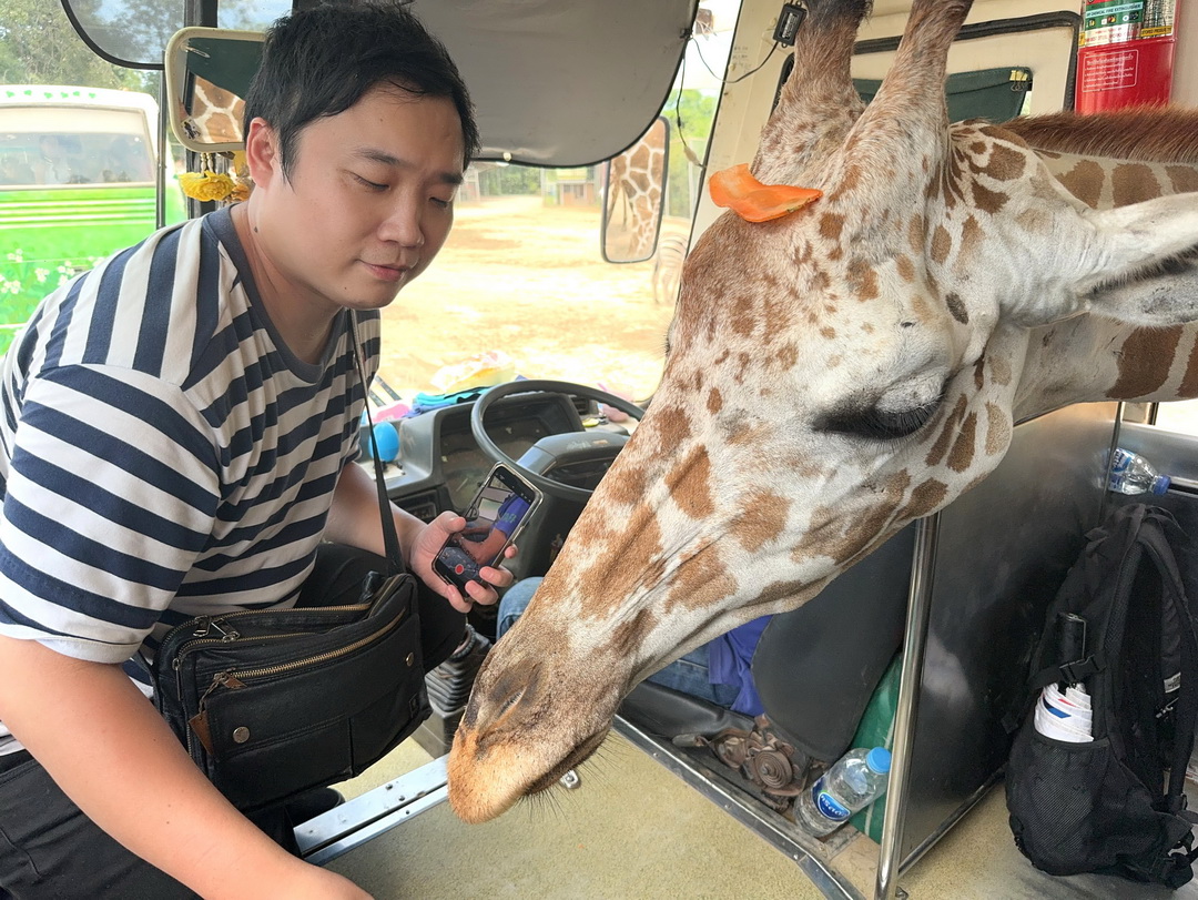 泰國北碧府一日遊｜野生動物園餵長頸鹿、看大象鱷魚表演，死亡鐵路＆桂河大橋拍照 @猴屁的異想世界