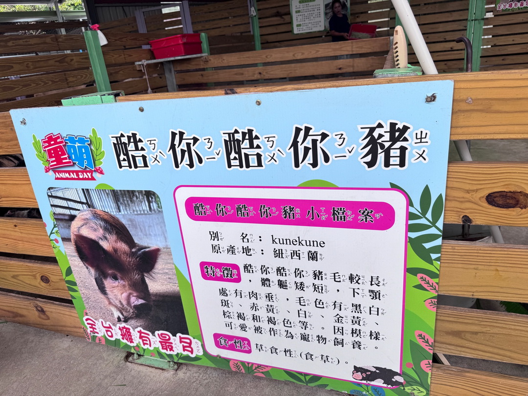 【苗栗景點】童萌農場|羊咩咩可以抱,狐獴、斑點駱馬、迷你豬,門票可折抵伴手禮 @猴屁的異想世界 【苗栗景點】童萌農場|羊咩咩可以抱,狐獴、斑點駱馬、迷你豬,門票可折抵伴手禮 @猴屁的異想世界