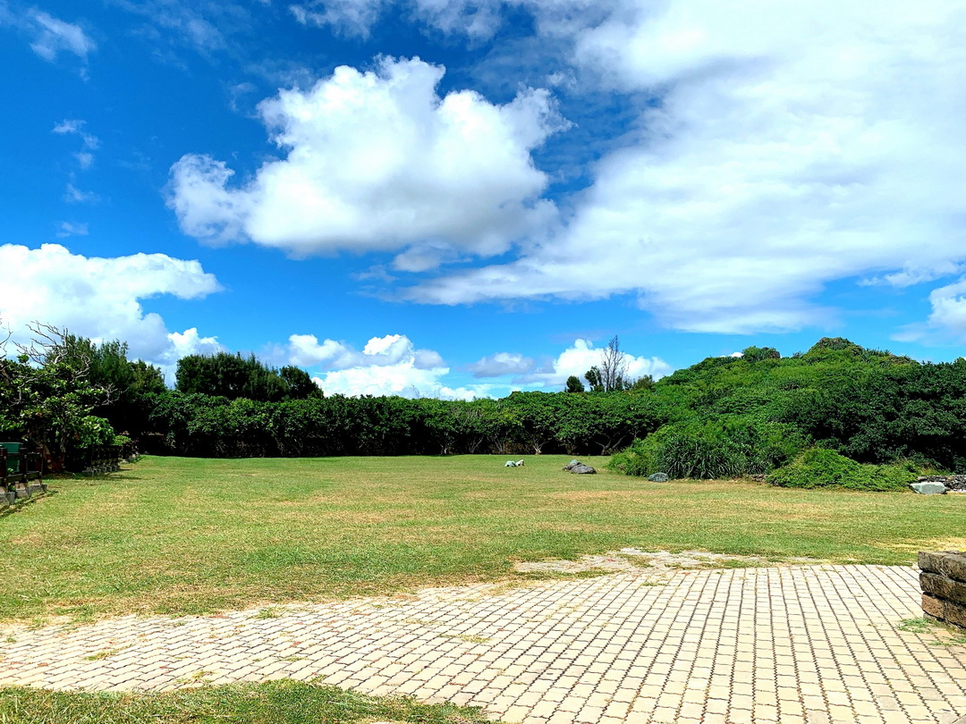 【墾丁景點】貓鼻頭公園,看海景必訪!超像貓咪的奇岩景觀,門票只要30元 @猴屁的異想世界 【墾丁景點】貓鼻頭公園,看海景必訪!超像貓咪的奇岩景觀,門票只要30元 @猴屁的異想世界