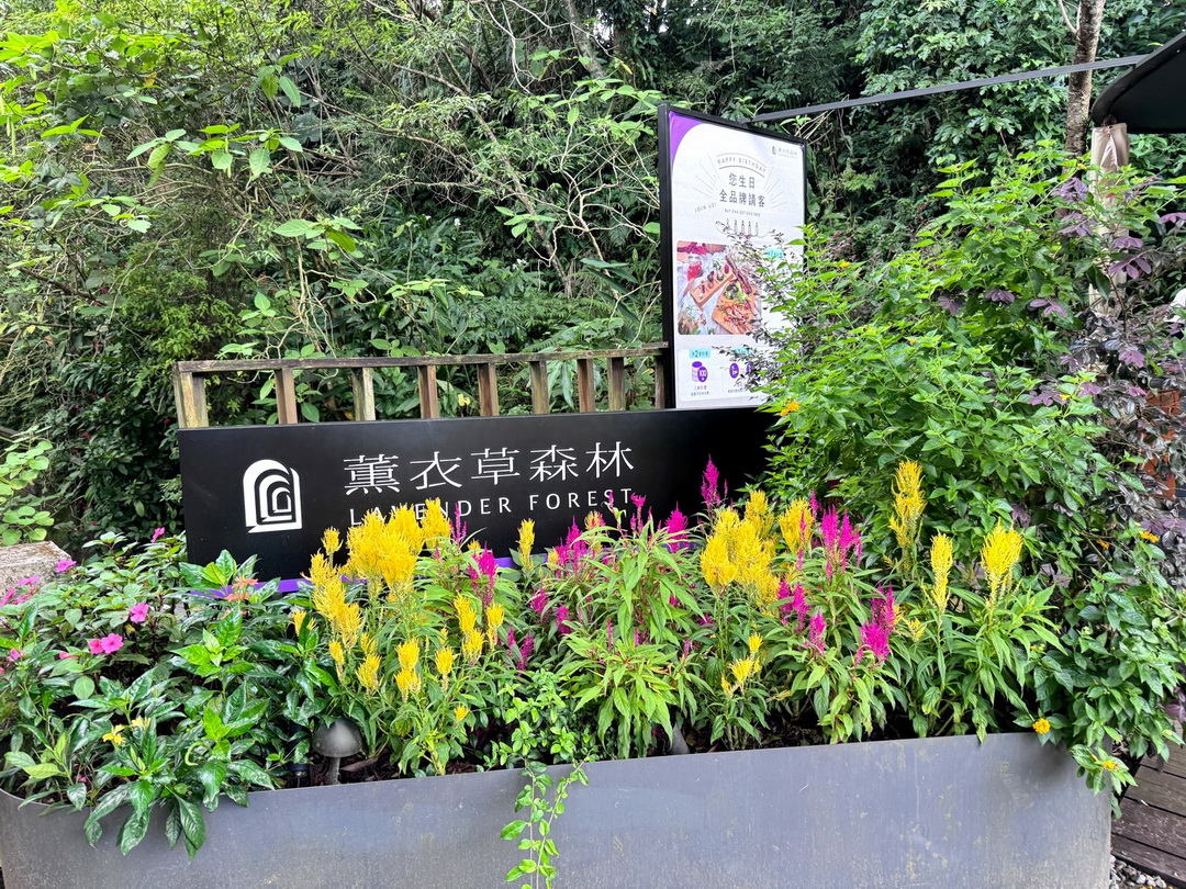 台中景點推薦｜新社薰衣草森林夢幻花海好好拍，門票可換茶包5包，冰淇淋買一送一超划算 @猴屁的異想世界