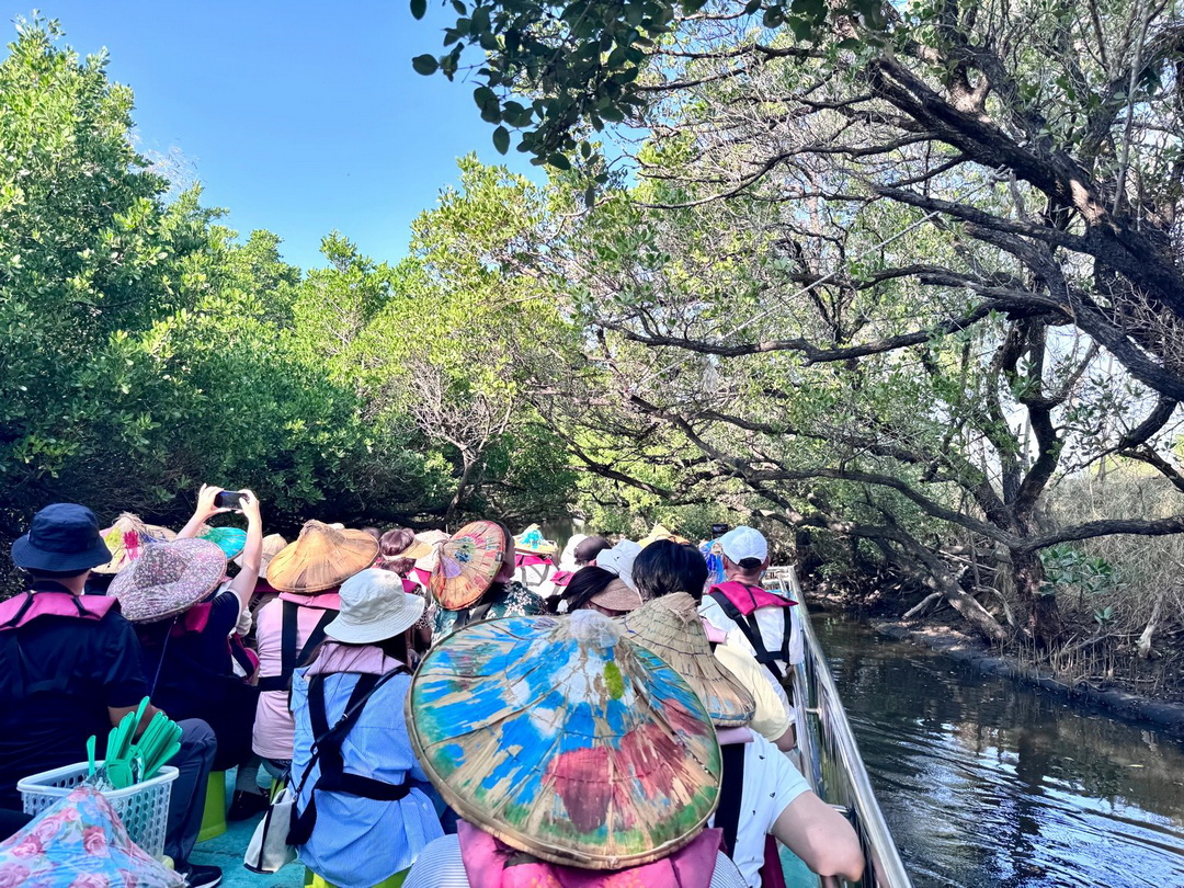 四草綠色隧道|台南版亞馬遜河!搭竹筏遊紅樹林超夢幻,線上購票教學+交通停車懶人包 @猴屁的異想世界 四草綠色隧道|台南版亞馬遜河!搭竹筏遊紅樹林超夢幻,線上購票教學+交通停車懶人包 @猴屁的異想世界