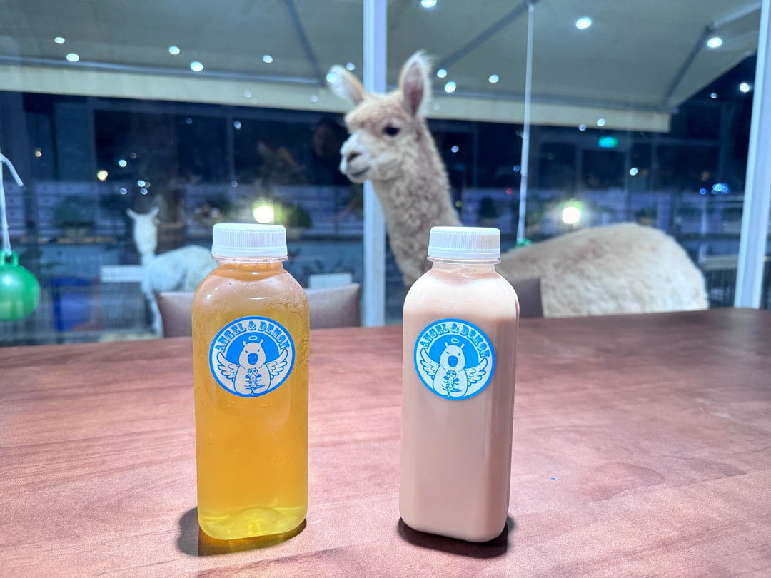 天使&惡魔寵物互動園區|高雄親子景點推薦,水豚羊駝狐獴近距離互動超療癒 @猴屁的異想世界 天使&惡魔寵物互動園區|高雄親子景點推薦,水豚羊駝狐獴近距離互動超療癒 @猴屁的異想世界