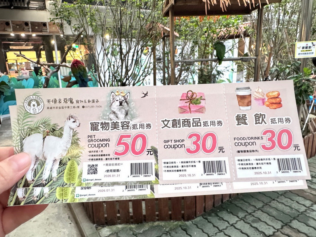 天使&惡魔寵物互動園區|高雄親子景點推薦,水豚羊駝狐獴近距離互動超療癒 @猴屁的異想世界 天使&惡魔寵物互動園區|高雄親子景點推薦,水豚羊駝狐獴近距離互動超療癒 @猴屁的異想世界